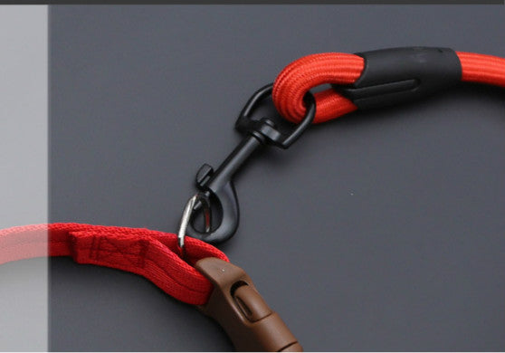 Nylon Adjustable Dog Harness, Leash and Collar