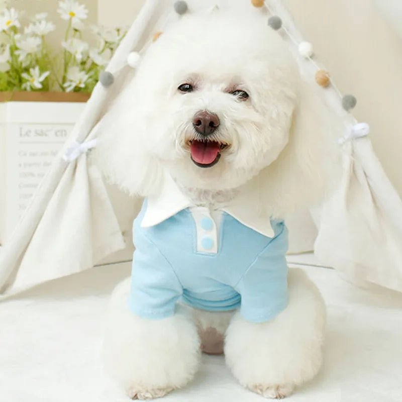 Collar dog tee aprox 13 in neck