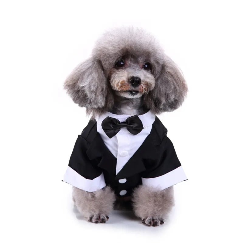 Dog Tux, gentlemen 16/18in neck
