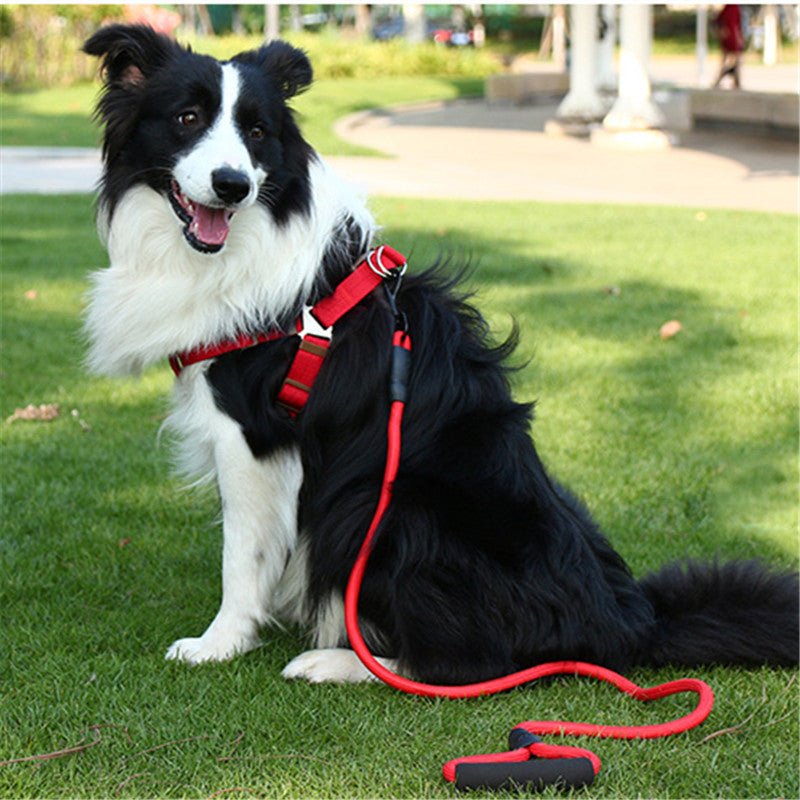 Nylon Adjustable Dog Harness, Leash and Collar