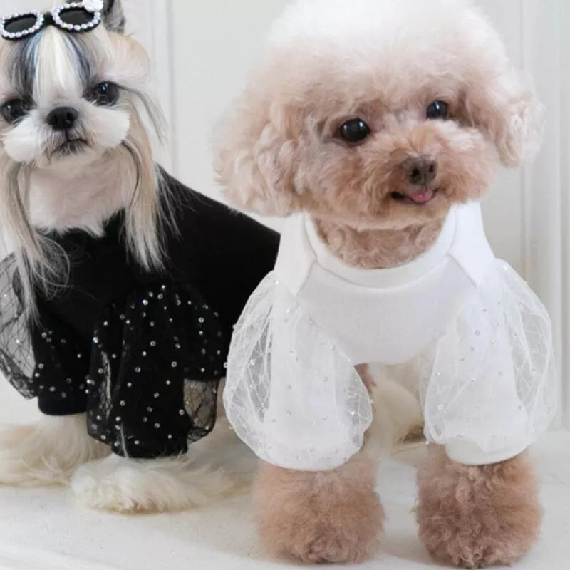 White lace flare sleeve elegant dog shirts. 18 inch neck