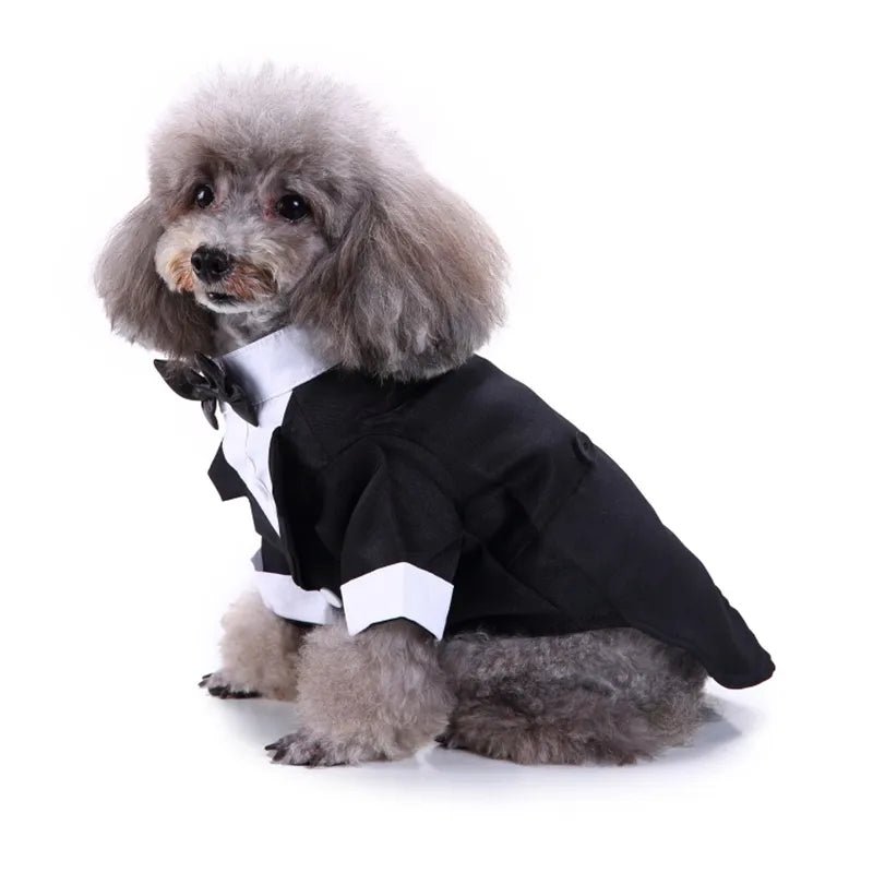 Dog Tux, gentlemen 16/18in neck