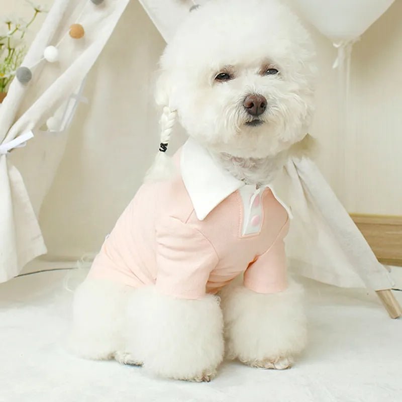 Collar dog tee aprox 13 in neck
