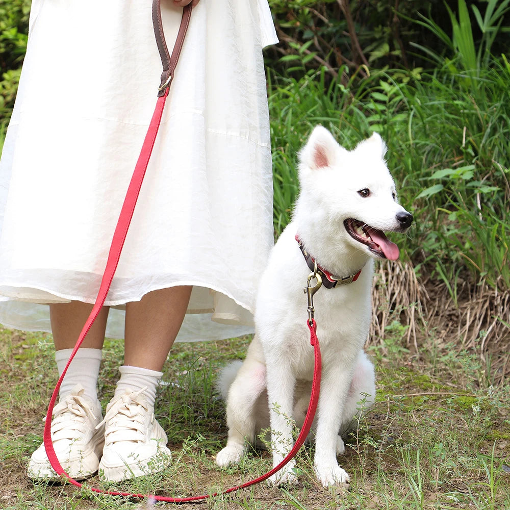 4.5ft Dog Pet Leash Rope 9 Colors PU leather Small Medium Large Dogs Nylon Padded Puppy Leashes Walking Leash Lead Ropes for Dog Fashioned Furbabies