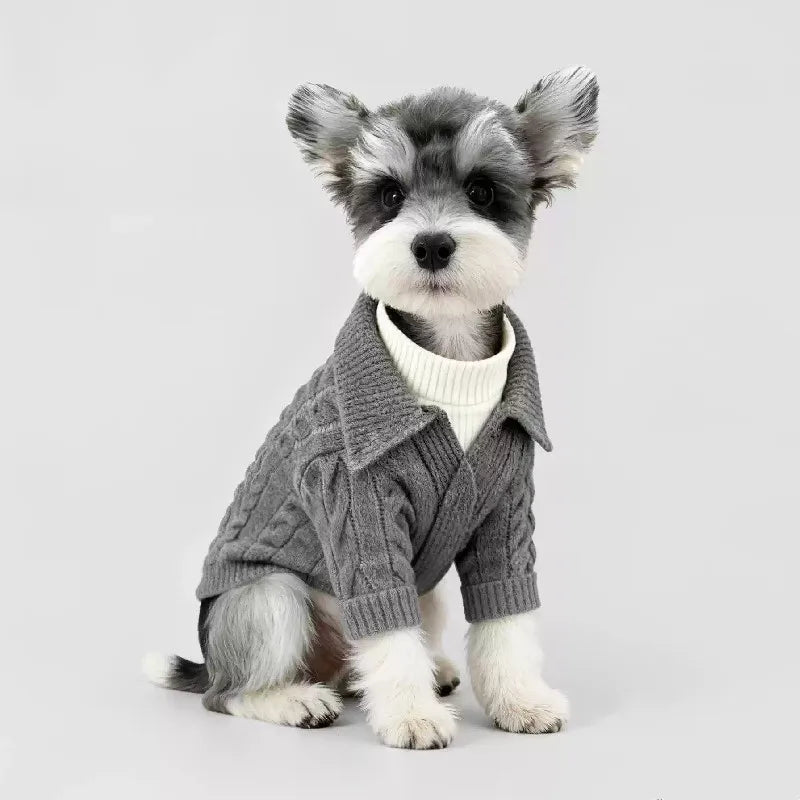 Sweater Coat Small Pet