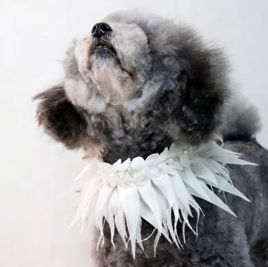 Dog feather with pearls collar/bandana.
Bougie princess. 10/13 in neck