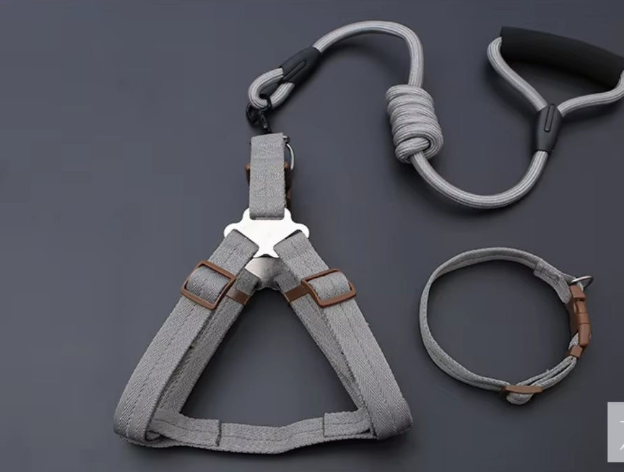 Nylon Adjustable Dog Harness, Leash and Collar