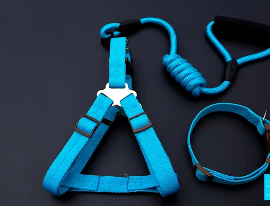 Nylon Adjustable Dog Harness, Leash and Collar