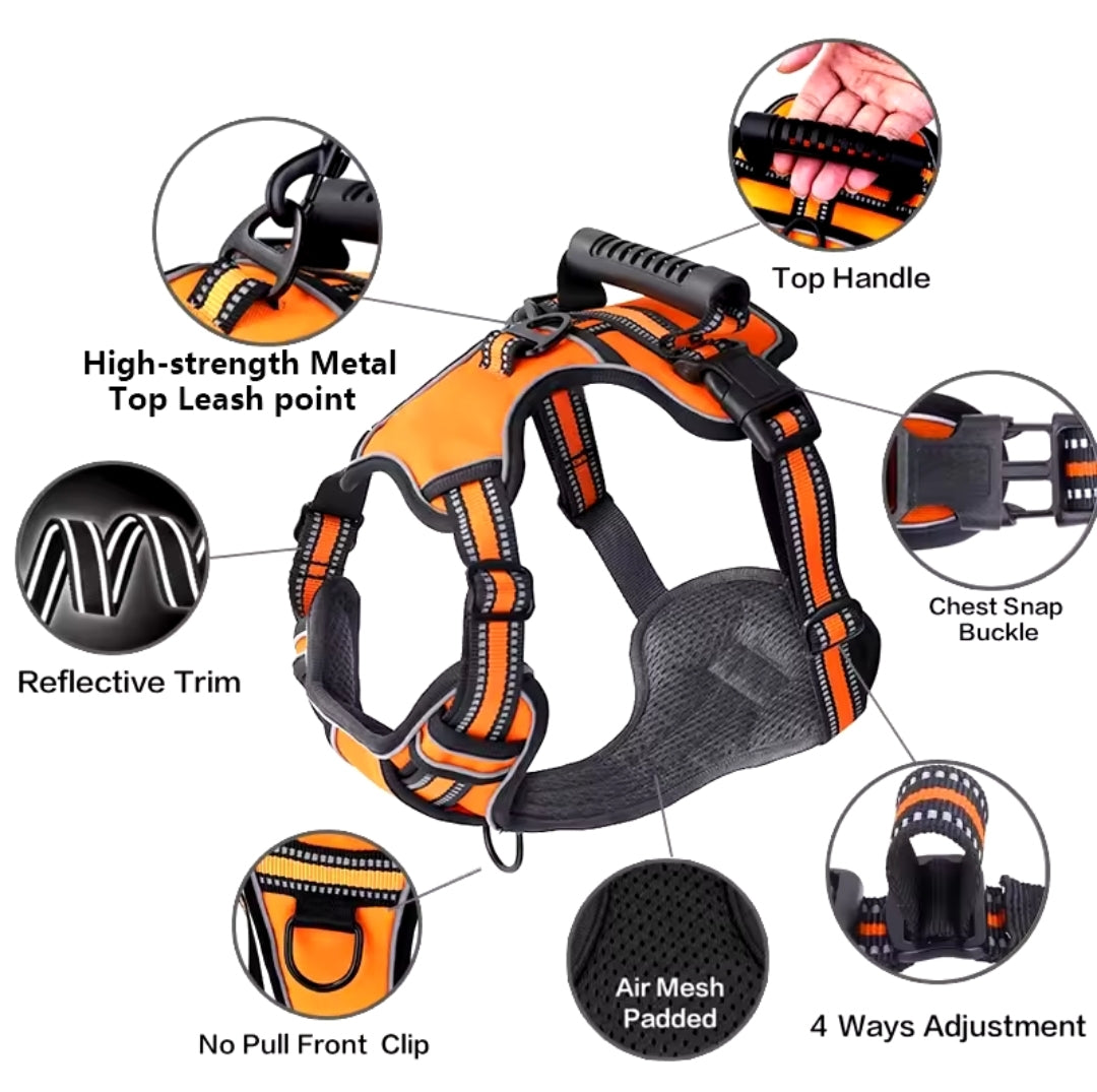 No pull reflective harnesses aprox 19 to 34 in neck