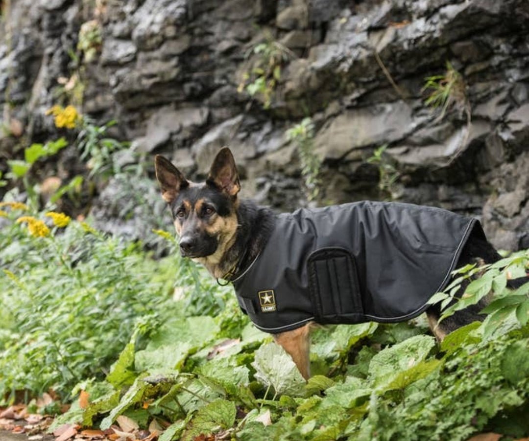 Military Dog Blanket Jacket aprox 26 inch chest