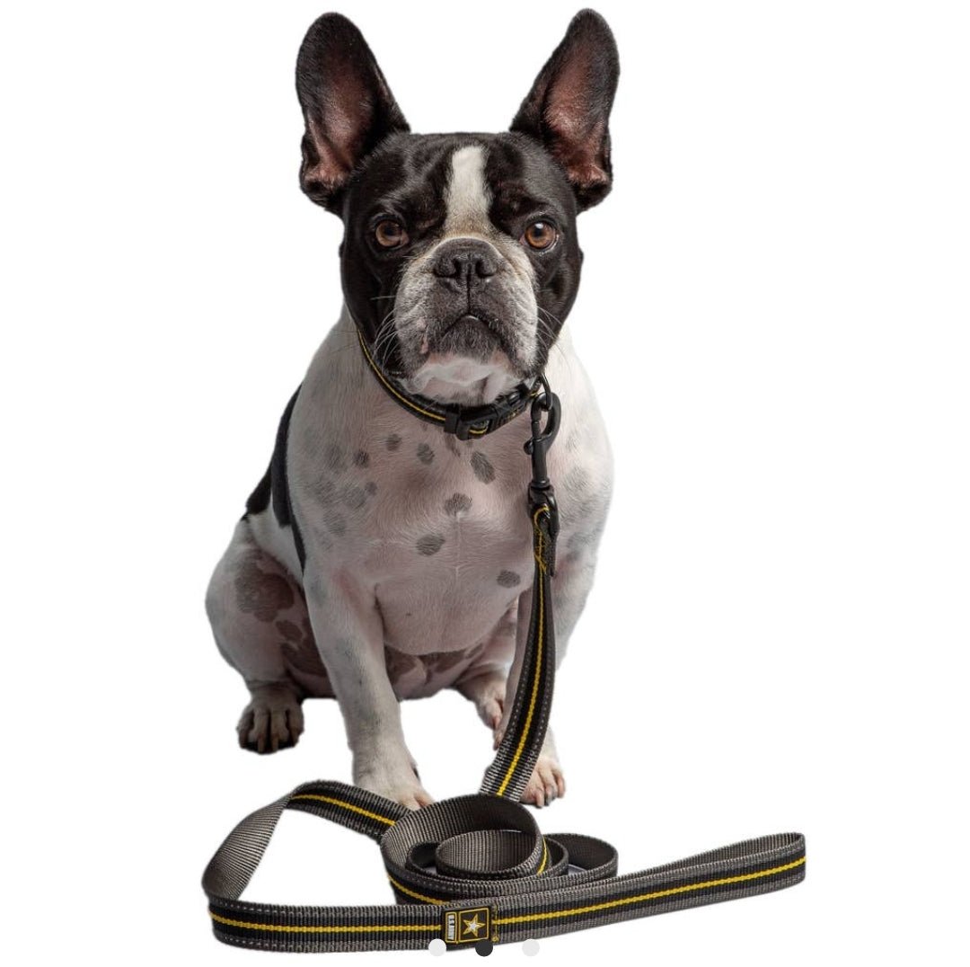 Military Dog Leash