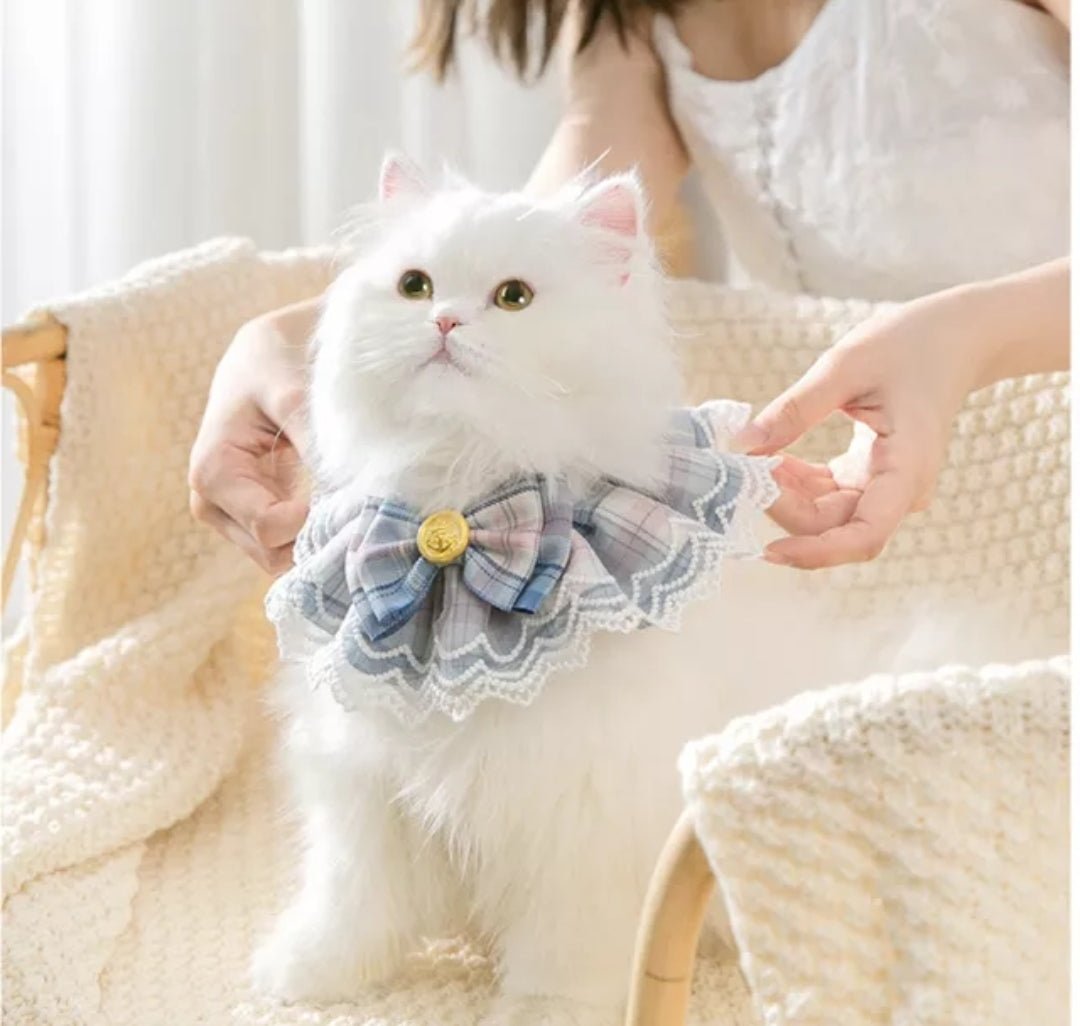 Lace Adjustable Collar