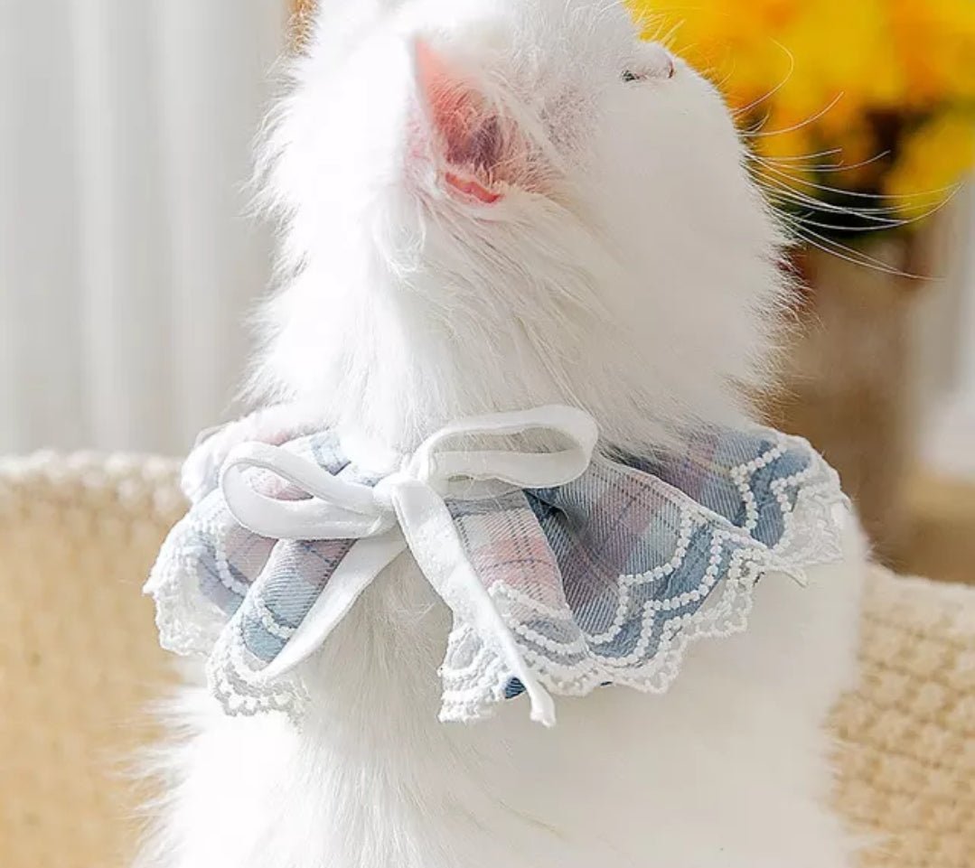 Lace Adjustable Collar