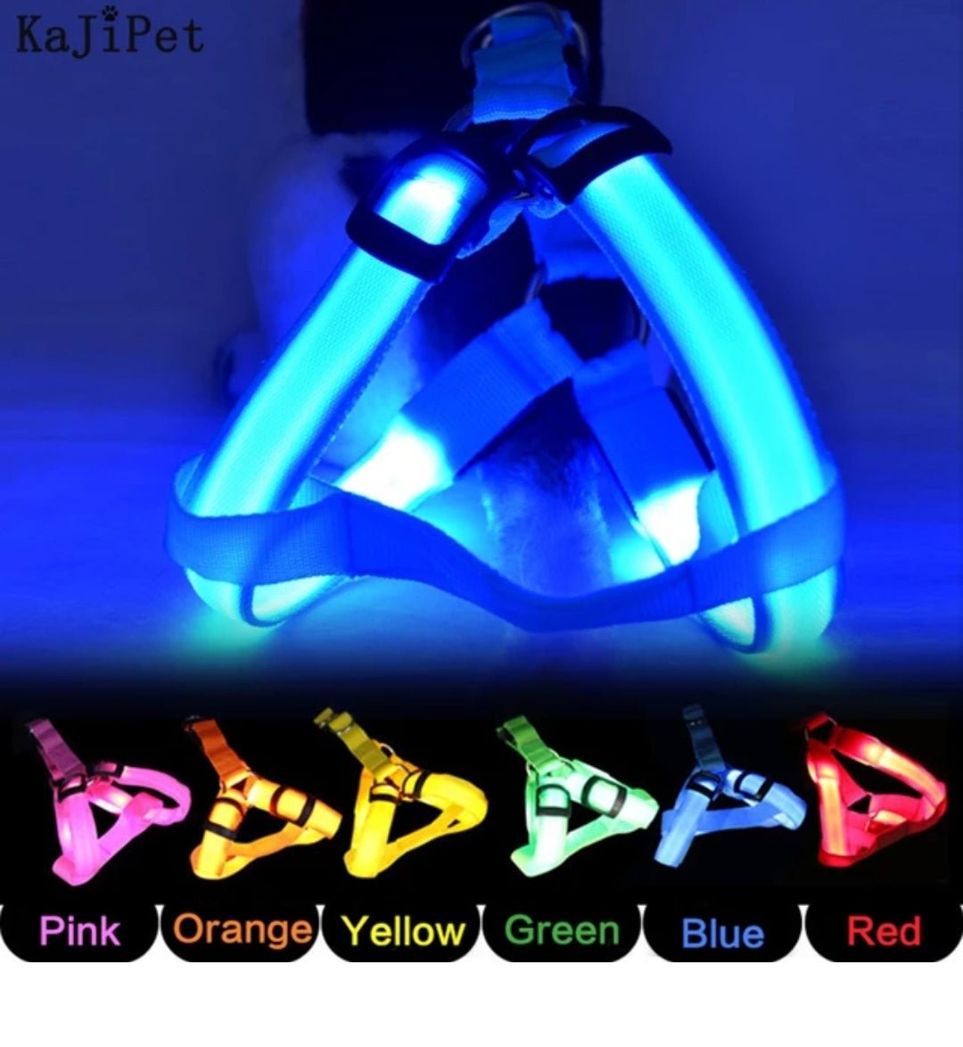 LED Adjustable, Dog Harness with rechargeable USB port 12 to 20lbs