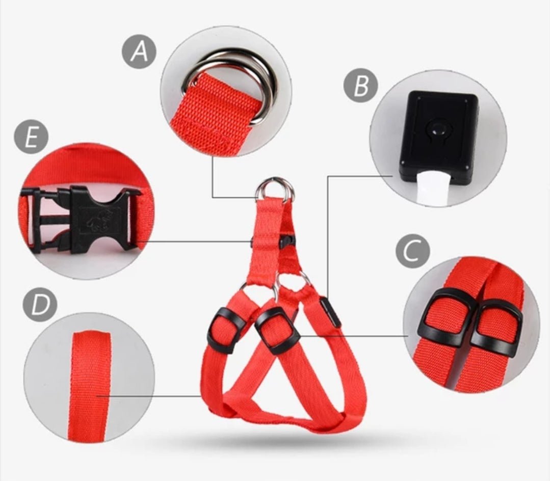 LED Adjustable, Dog Harness with rechargeable USB port 12 to 20lbs