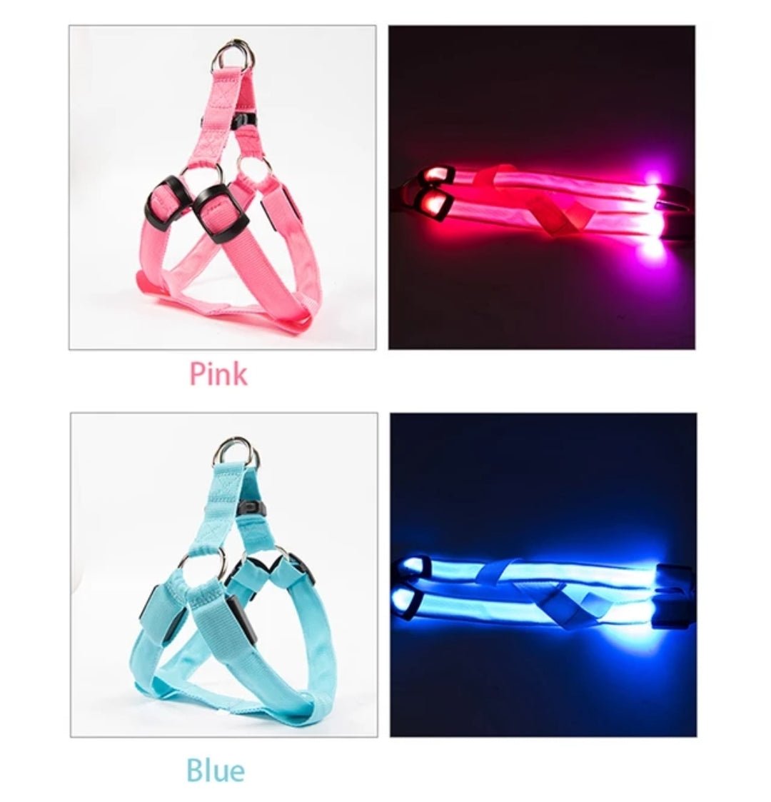 LED Adjustable, Dog Harness with rechargeable USB port 12 to 20lbs