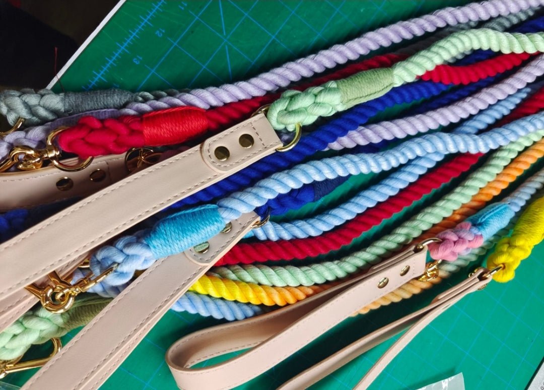Colorful Leash