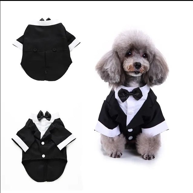 Dog Tux, gentlemen 16/18in neck