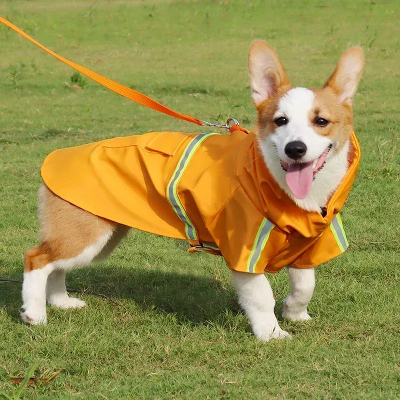 Waterproof hooded rain jackets for medium to large dogs.