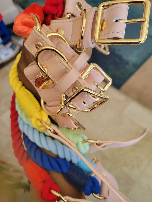 Colorful Leash and Collar Set