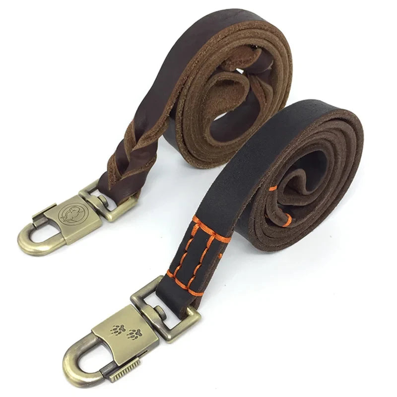 Pet Collars Leashes and Harnesses-