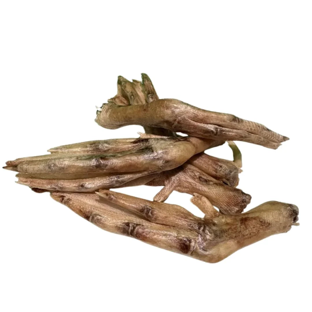 Freeze-Dried Duck Feet for Dogs, Natural Joint Support, 10 Count - Premium Quality Made in USA Quailz.com by Undique LLC