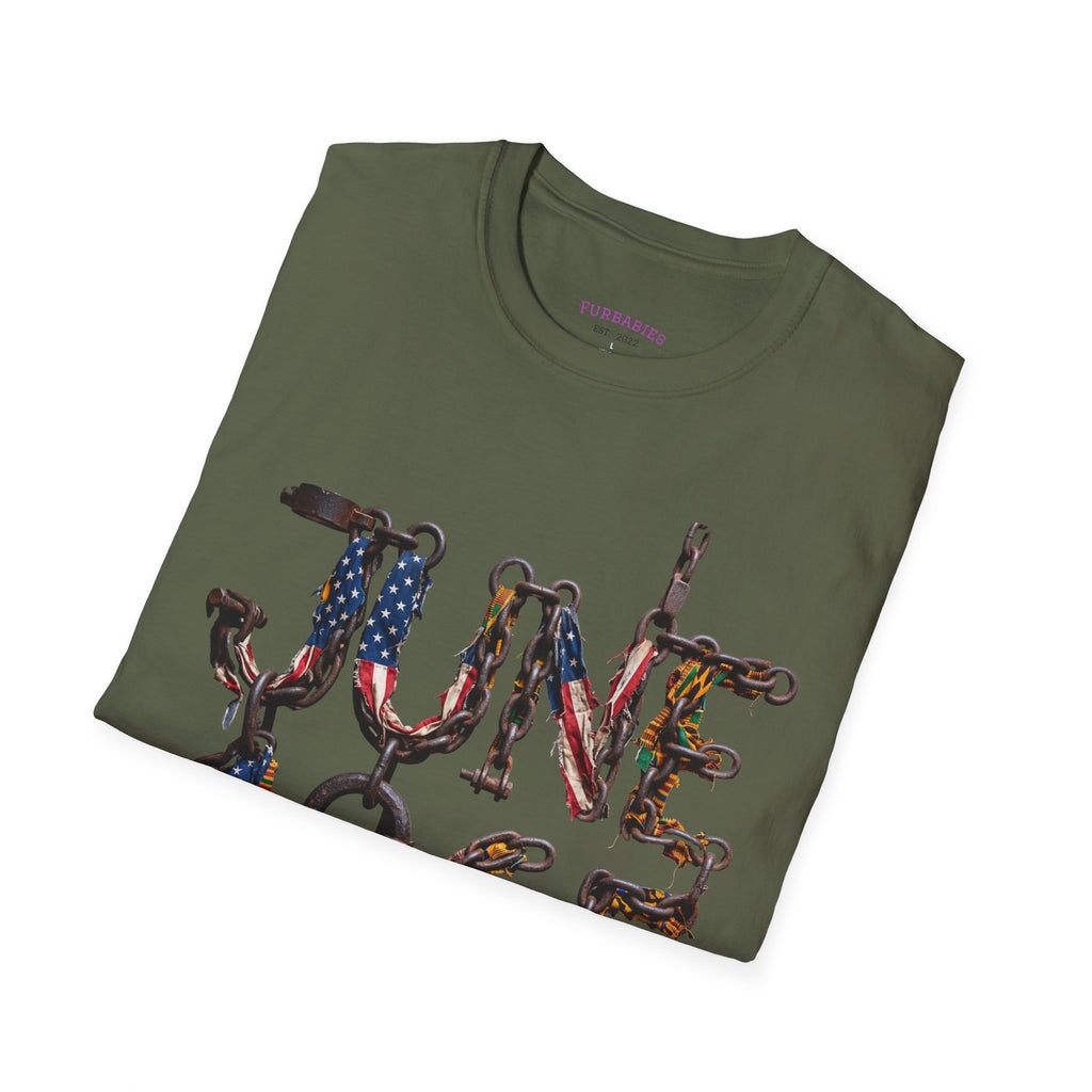 Juneteenth Distressed T-Shirts | Black History & Freedom Pride Tees (Set of 3 Designs)Matching Pet Apparel