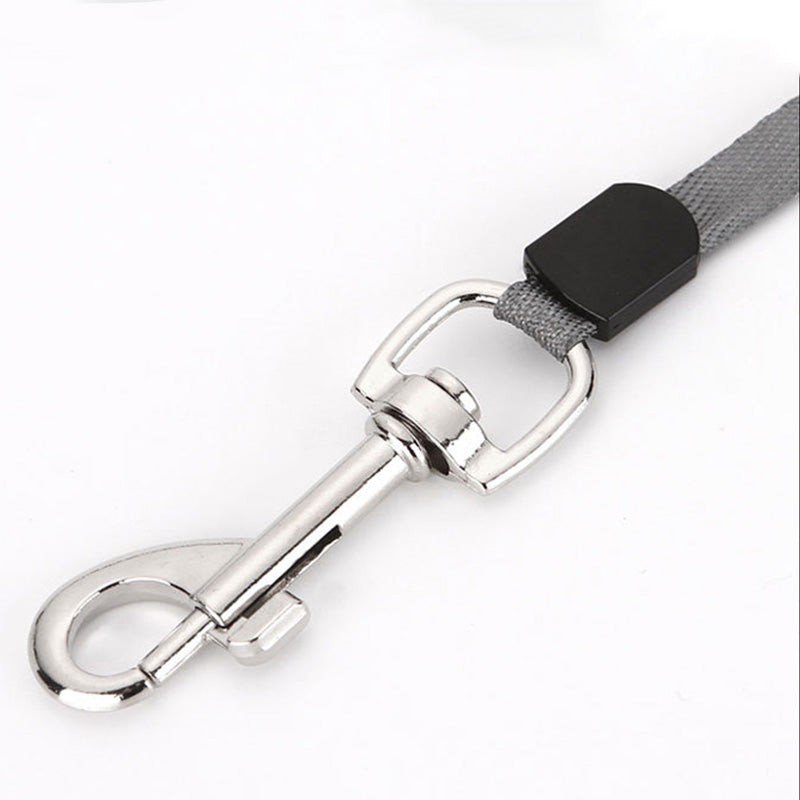 Retractable Leash 5m