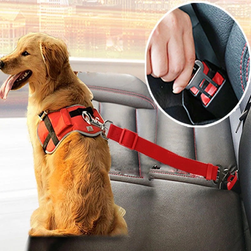 Dog Seat Belt 17 to 25 in neck