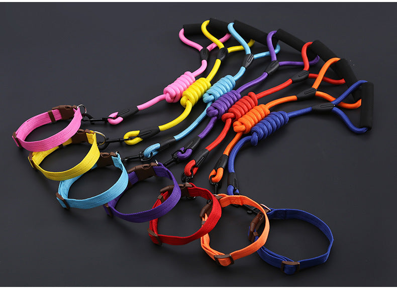 Nylon Dog Harness, Leash and Collar Set! 14-21in