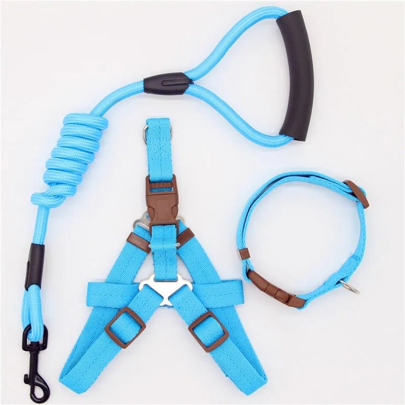 Nylon Dog Harness, Leash and Collar Set!