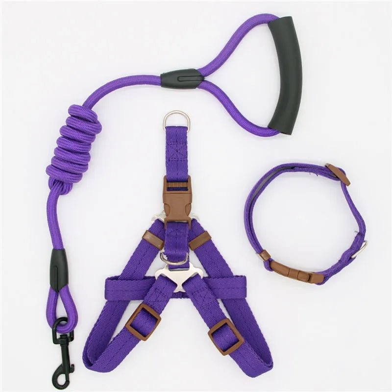 Nylon Dog Harness, Leash and Collar Set!