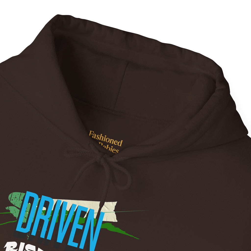 Entrepreneurial Visionary Hoodie - Triumph Company Apparel
