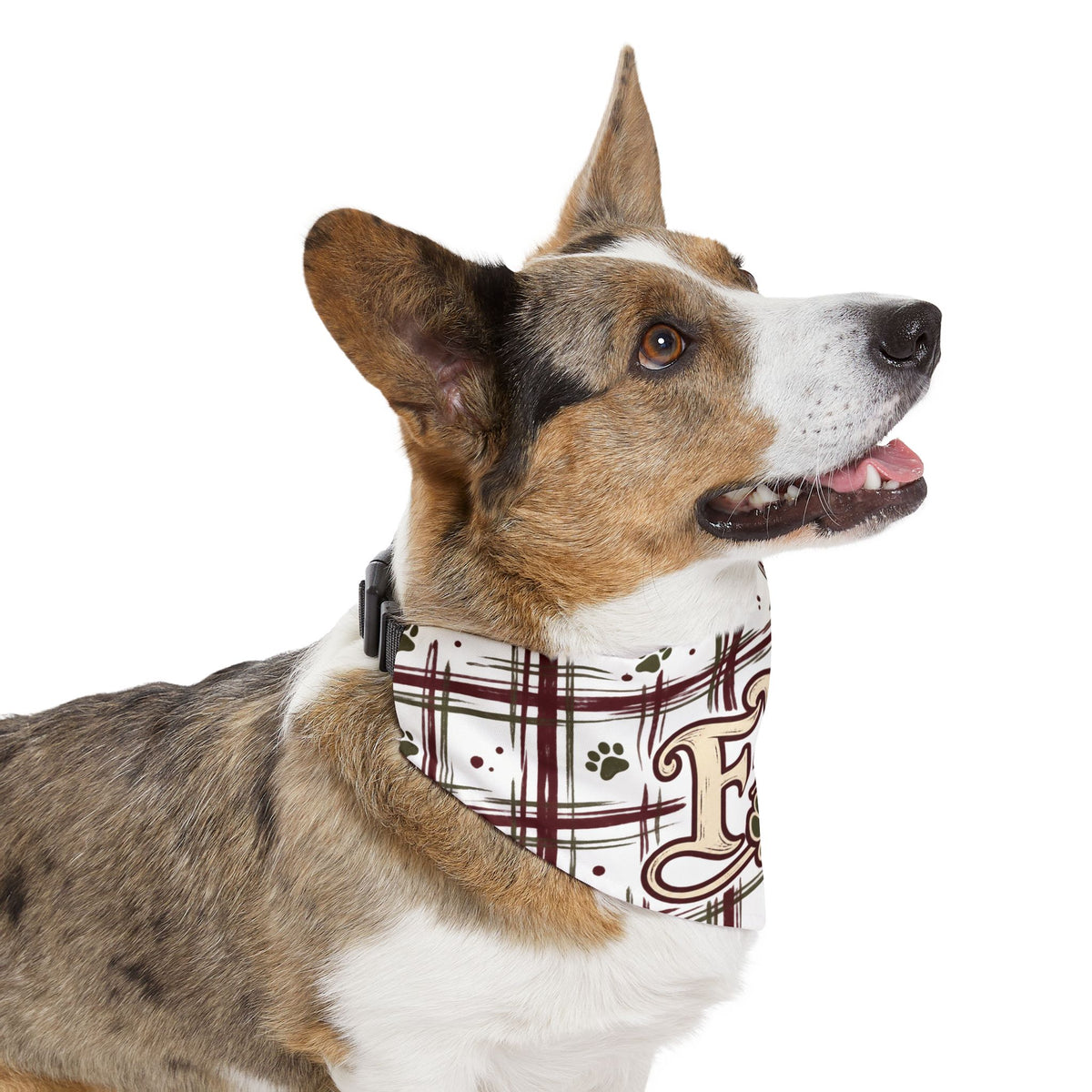 FFB Plaid Paw Pet Bandanna Collar