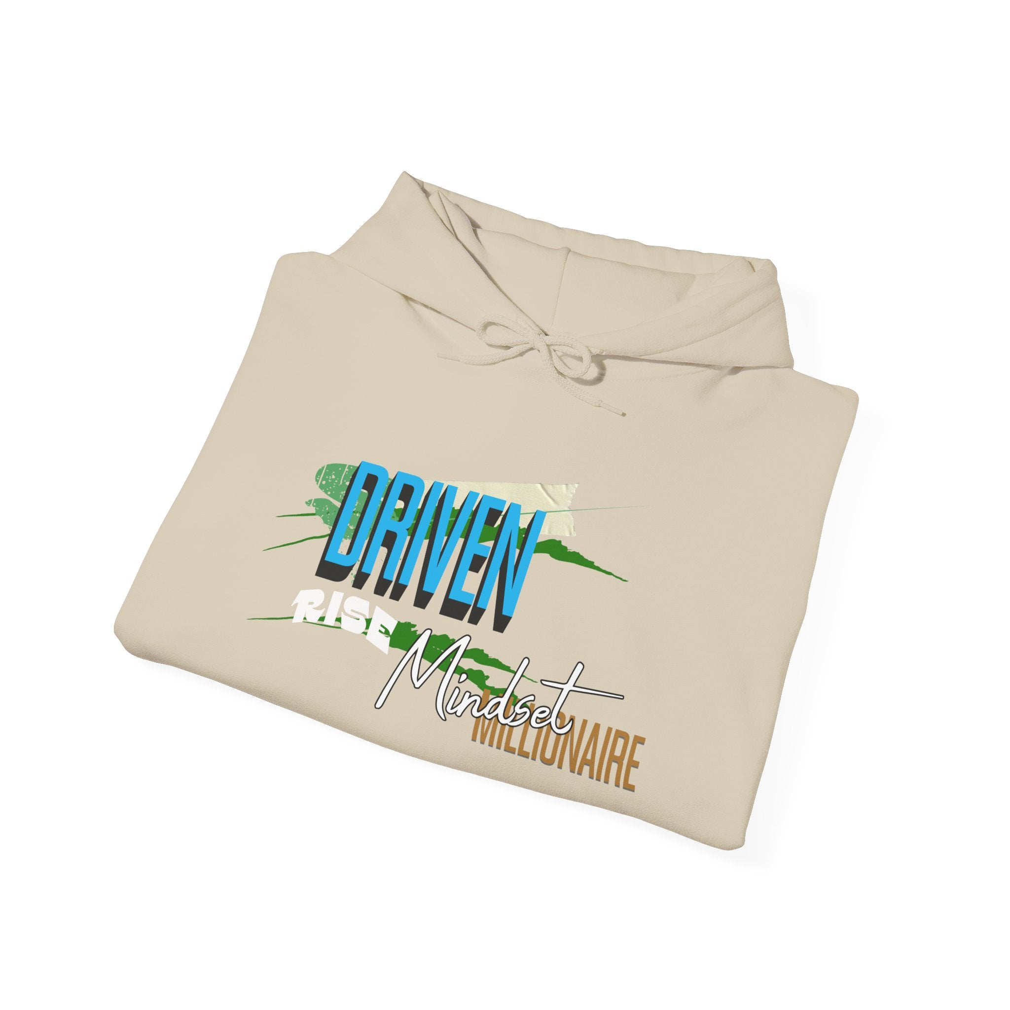 Entrepreneurial Visionary Hoodie - Triumph Company Apparel