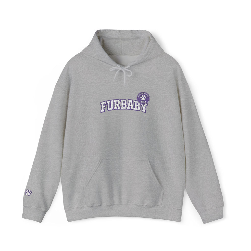 Furbaby Cozy Hoodie — Retro Pet Lover Pullover