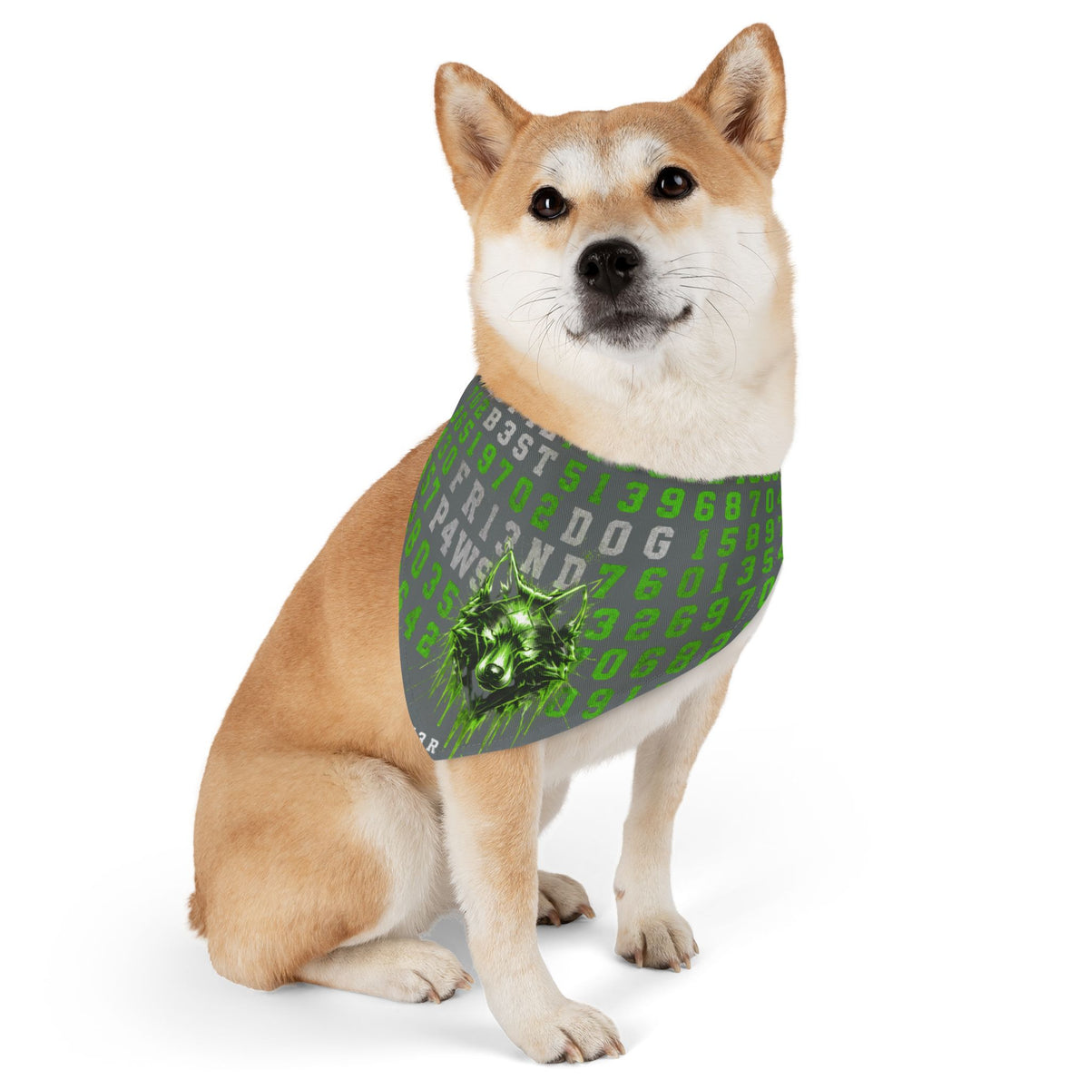 Blue Cyber Code Pet Bandana Collar — P4W5 0V3R P30PL3 Design