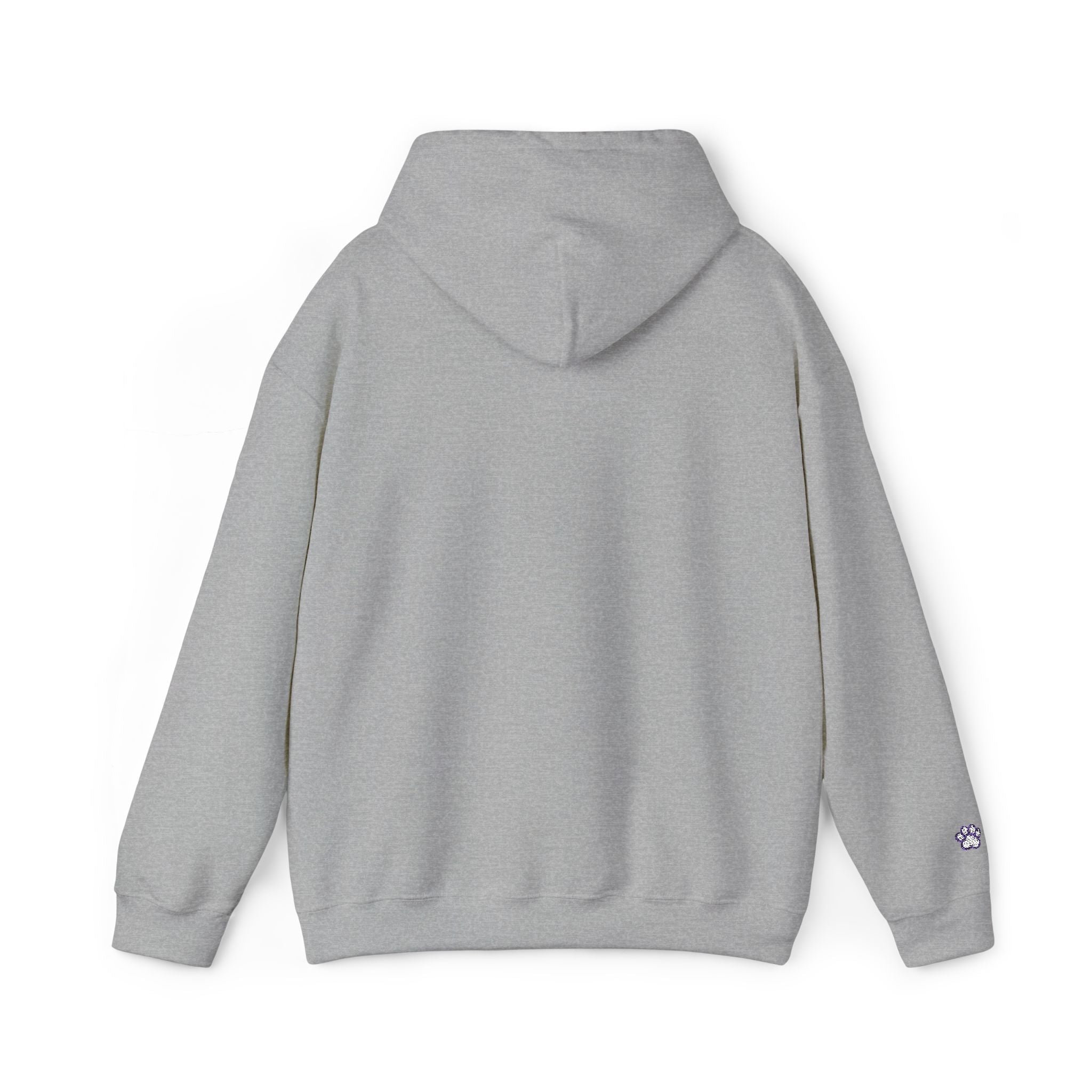 Furbaby Hoodie – Retro Varsity Letter Graphic Pullover Embroidered