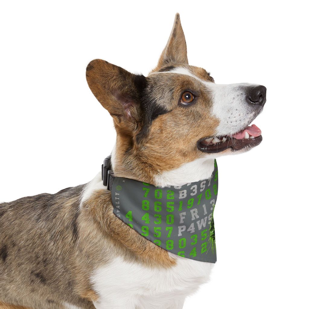 Blue Cyber Code Pet Bandana Collar — P4W5 0V3R P30PL3 Design