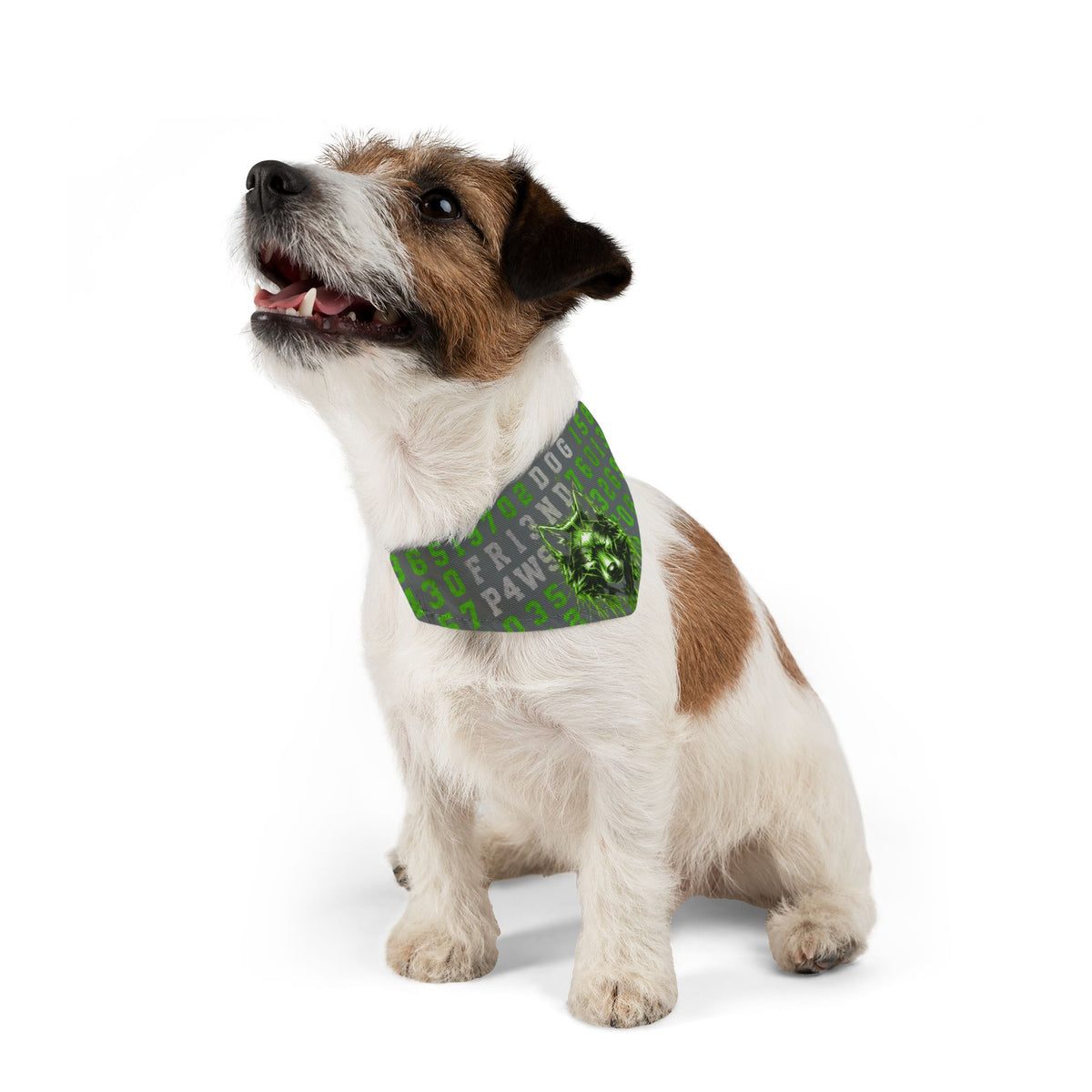 Blue Cyber Code Pet Bandana Collar — P4W5 0V3R P30PL3 Design