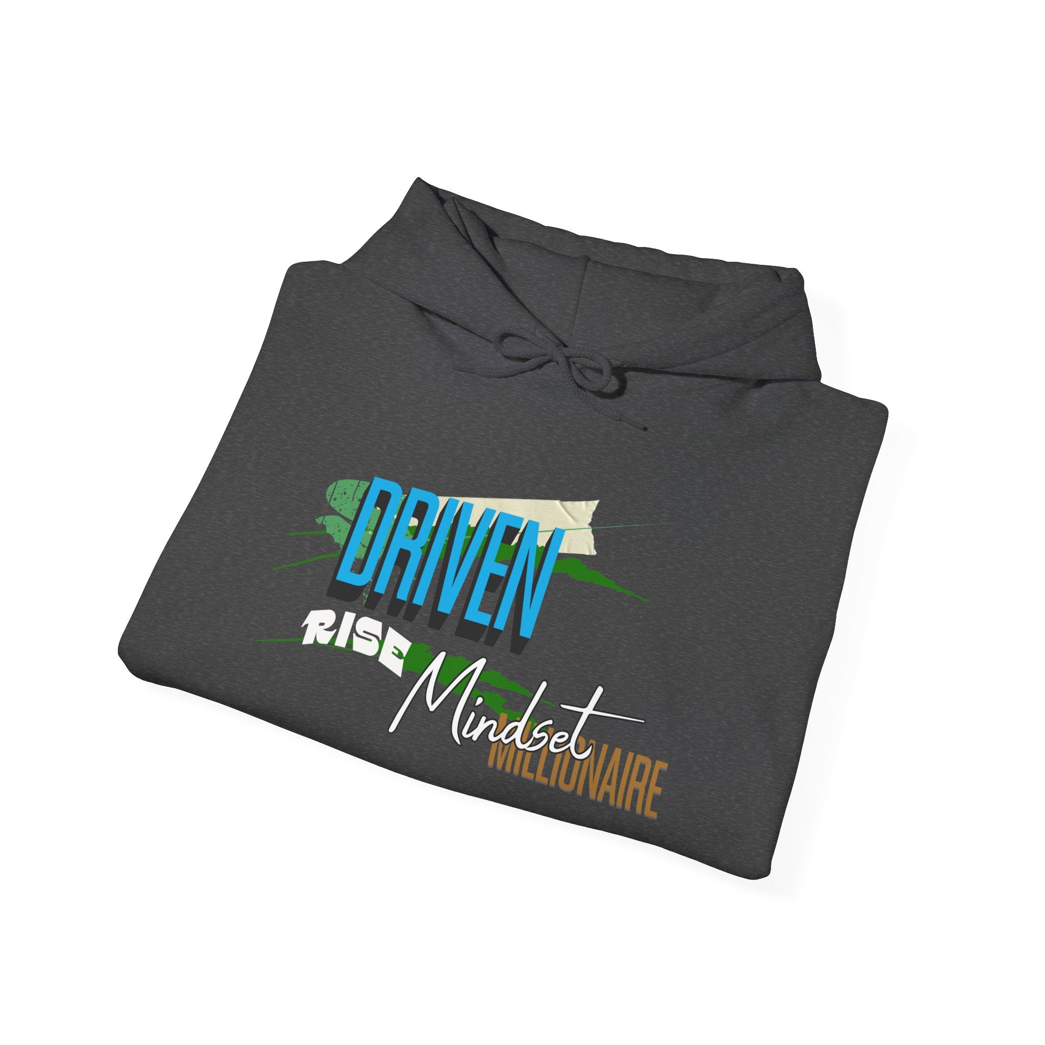 Entrepreneurial Visionary Hoodie - Triumph Company Apparel