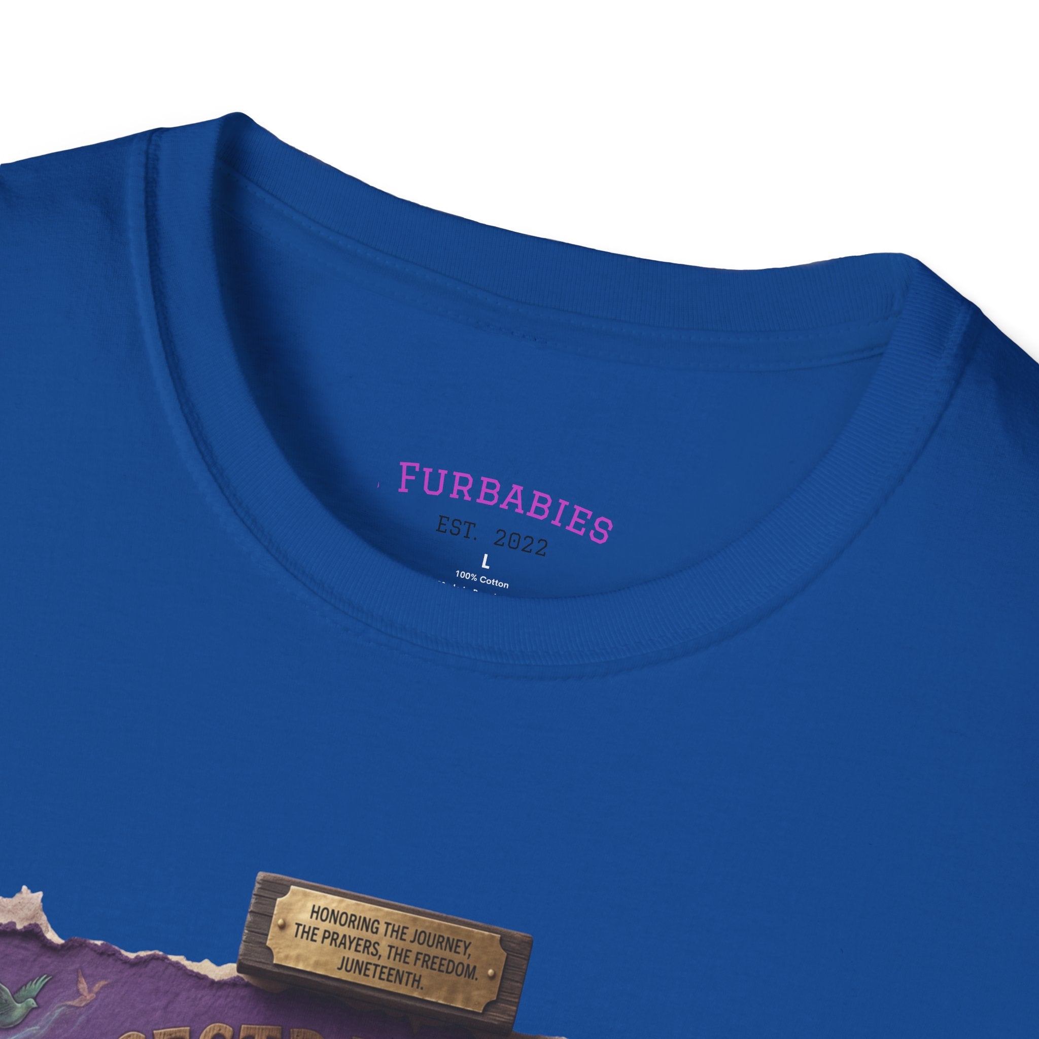Juneteenth Distressed T-Shirts | Black History & Freedom Pride Tees (Set of 3 Designs)Matching Pet Apparel