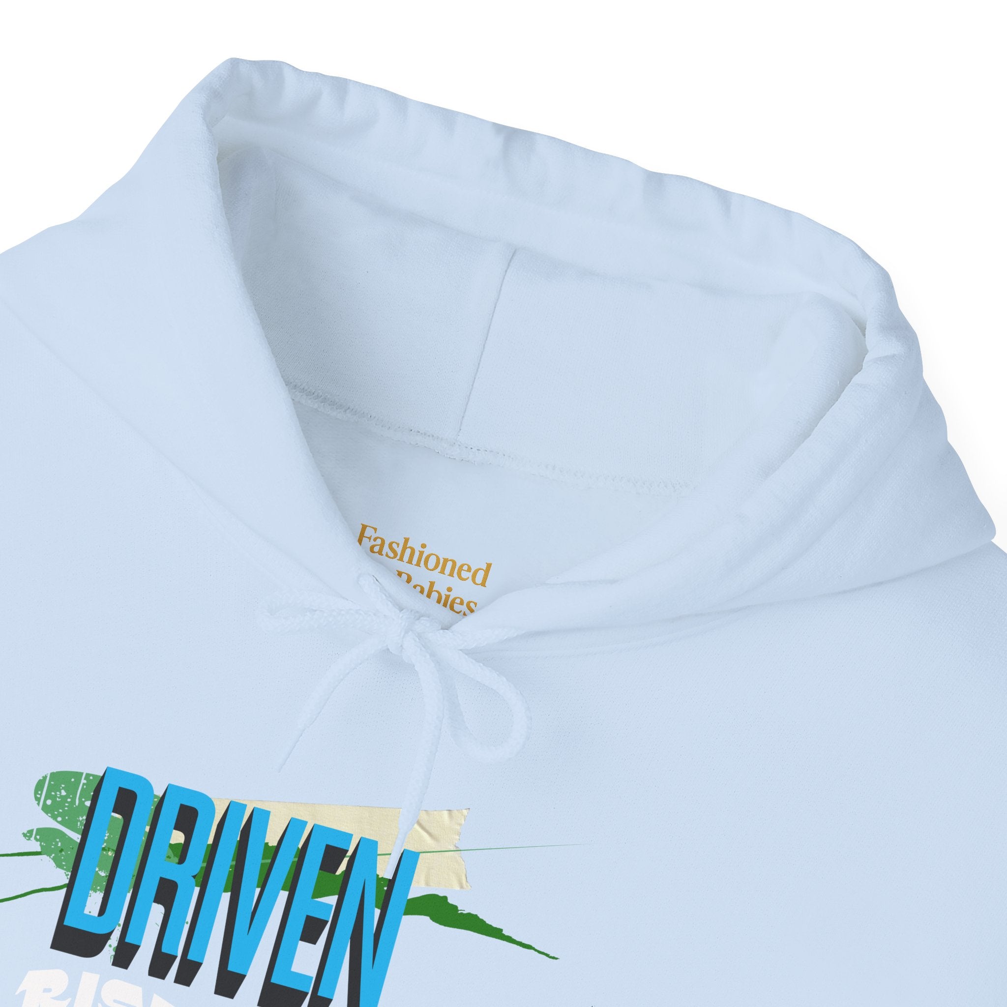 Entrepreneurial Visionary Hoodie - Triumph Company Apparel