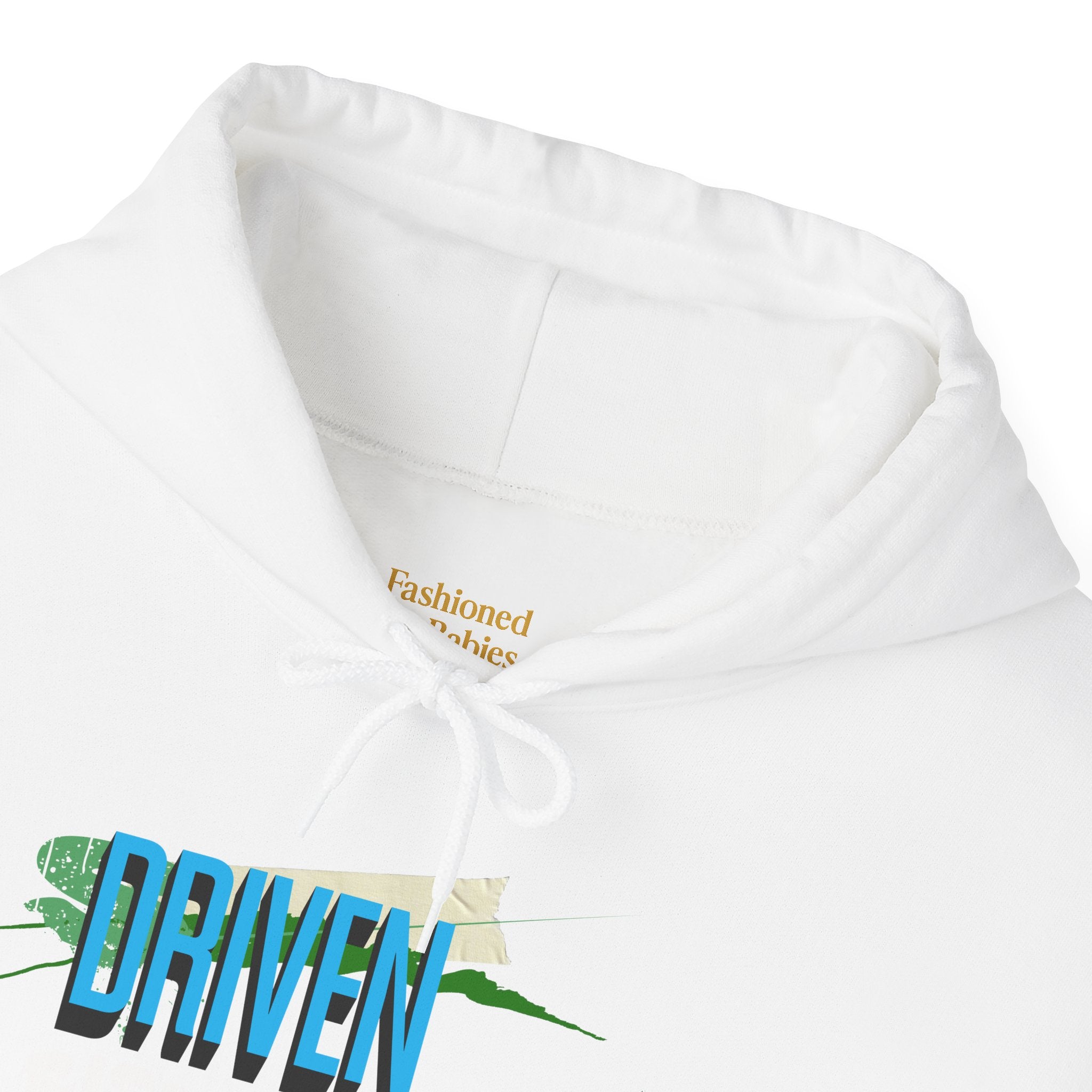 Entrepreneurial Visionary Hoodie - Triumph Company Apparel