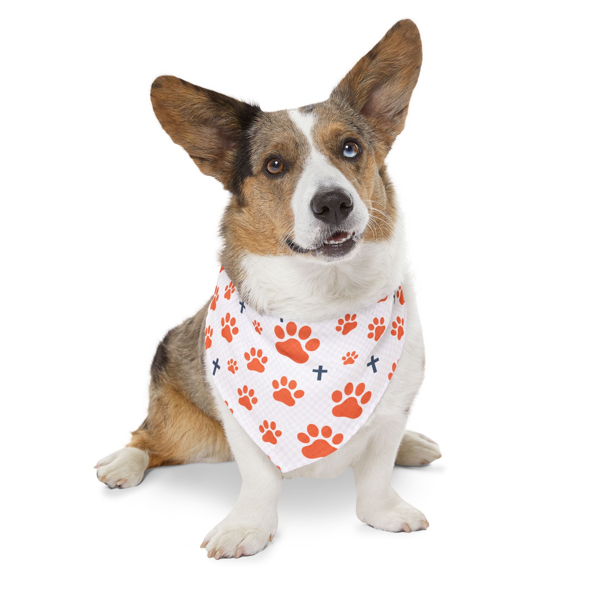 Orange Paw Print Pet Bandana Collar – Cute Dog & Cat Accessory, Matching Human Apparel Available