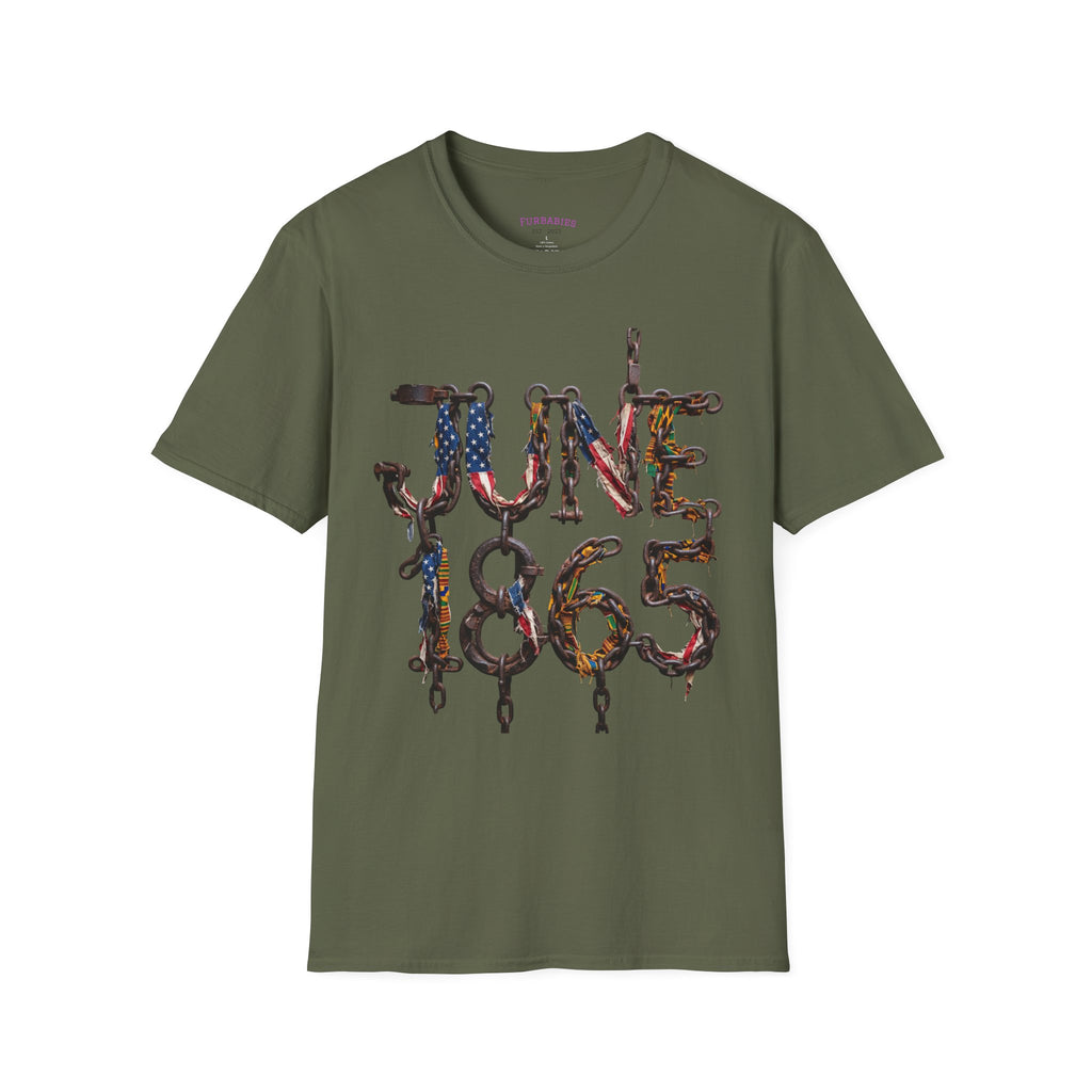 Juneteenth Distressed T-Shirts | Black History & Freedom Pride Tees (Set of 3 Designs)Matching Pet Apparel