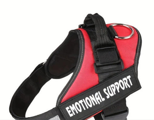 Emotional support harness