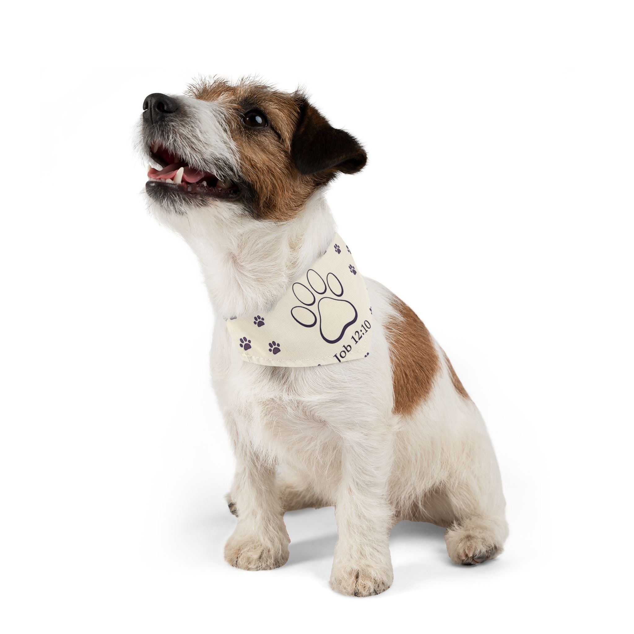Faith Pet Bandana Collar — Matching Human Shirt Available
