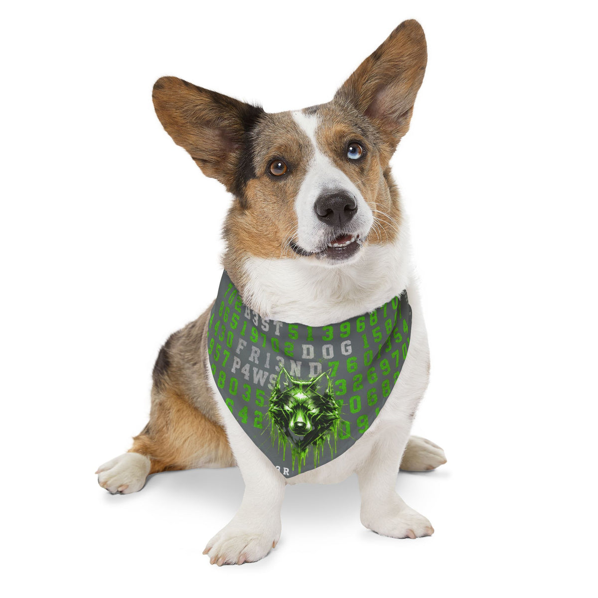 Blue Cyber Code Pet Bandana Collar — P4W5 0V3R P30PL3 Design