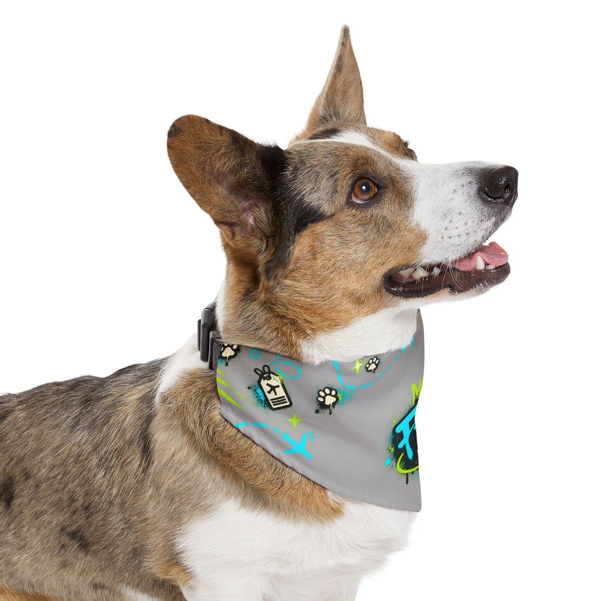 Graffiti 'FFB' Pet Bandana Collar – Neon Paw Print Dog Bandana